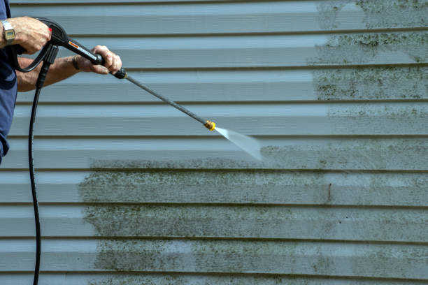 Best Roof Pressure Washing  in Richwood, NJ